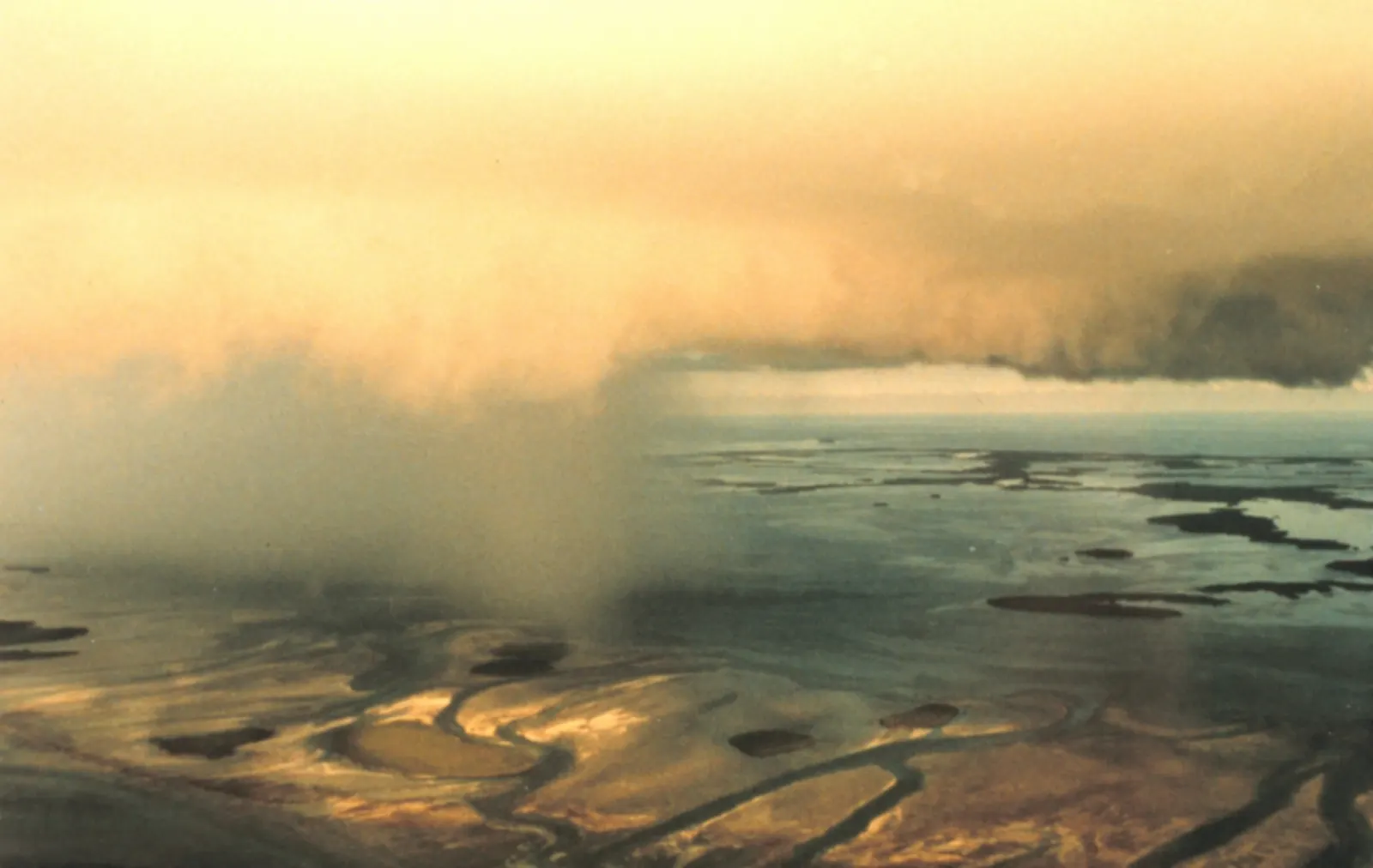 A gray shaft of rain pouring from a thunderstorm base over Florida Keys wetlands in evening light.