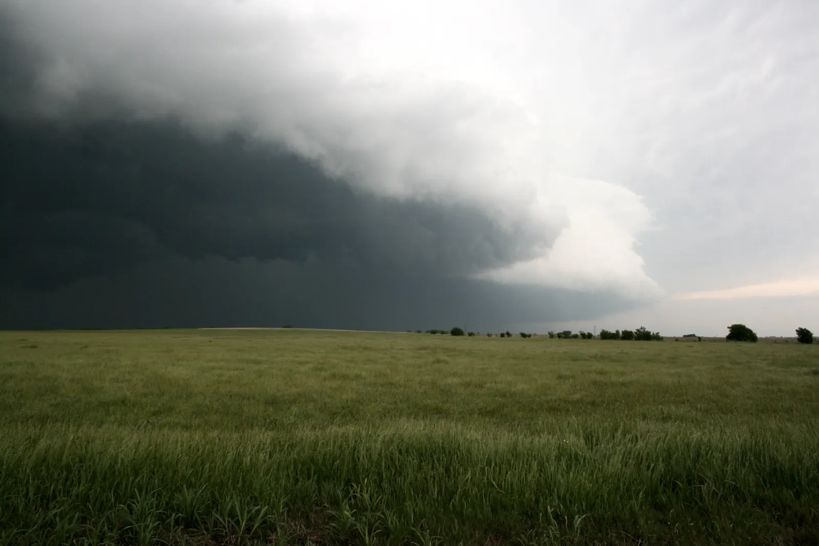 A dark shelf cloud marking the leading edge of a storm advancing over a green Oklahoma prairie.