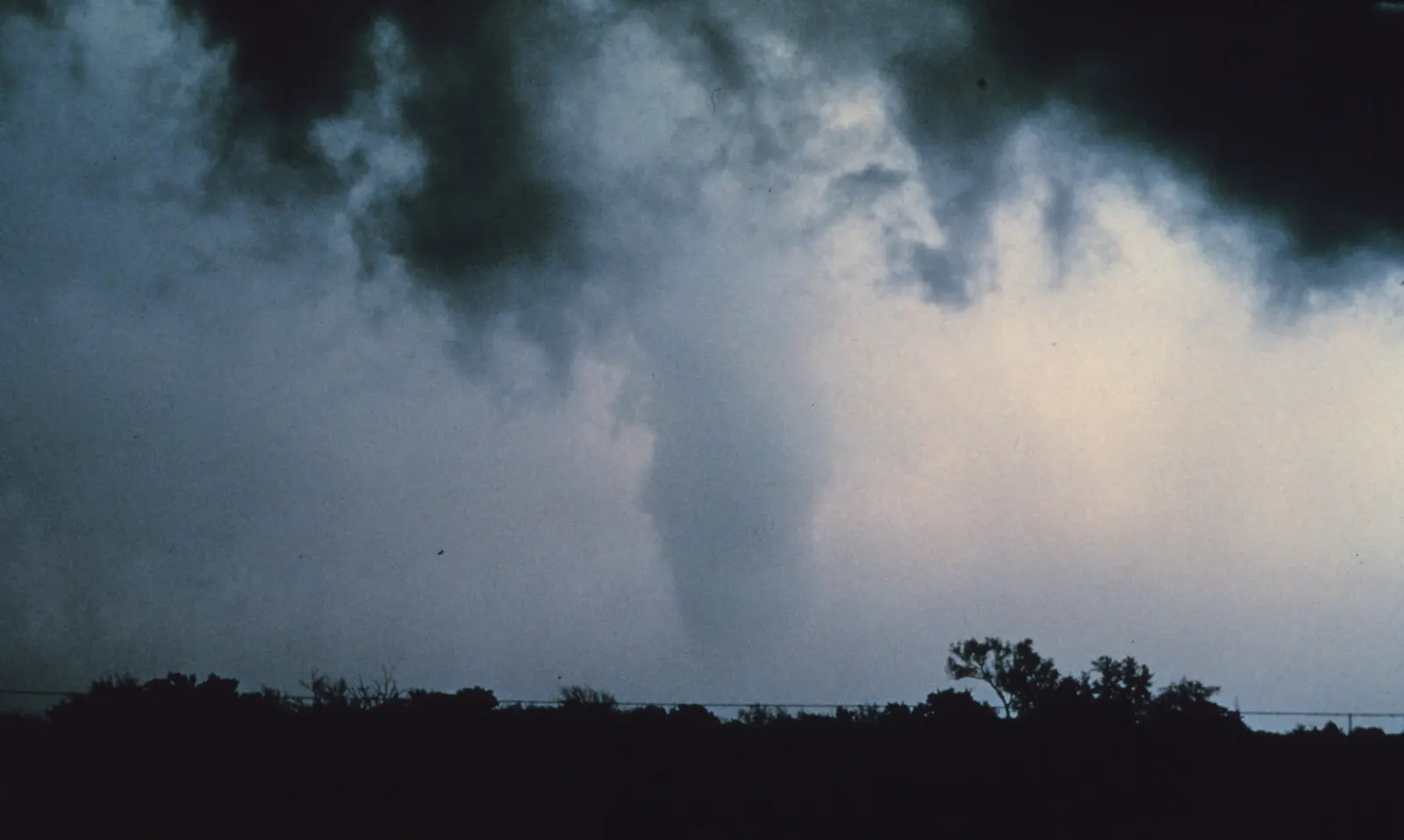 A tornado descending from a dark storm cloud behind a silhouetted tree line near Roff, Oklahoma.