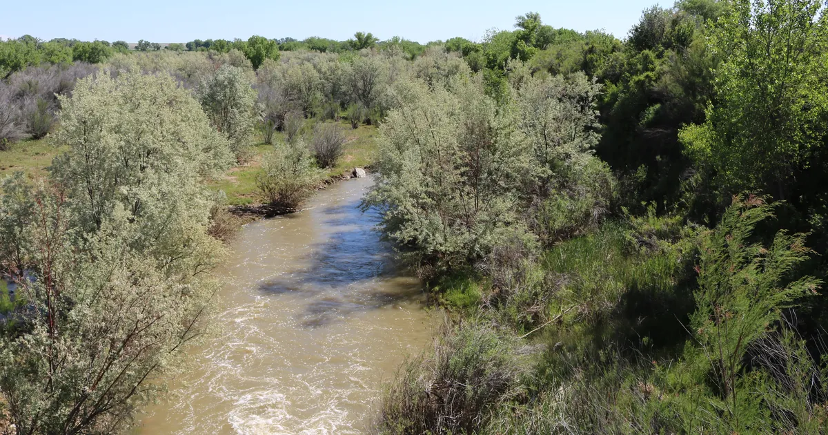 Purgatoire River near Hoehne, Colorado